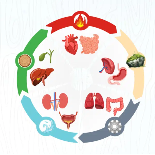 Elemental Influence on Health Tendencies
