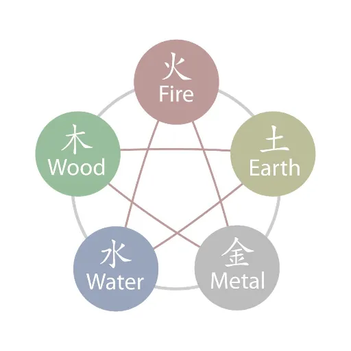 Implications for Environmental Sustainability