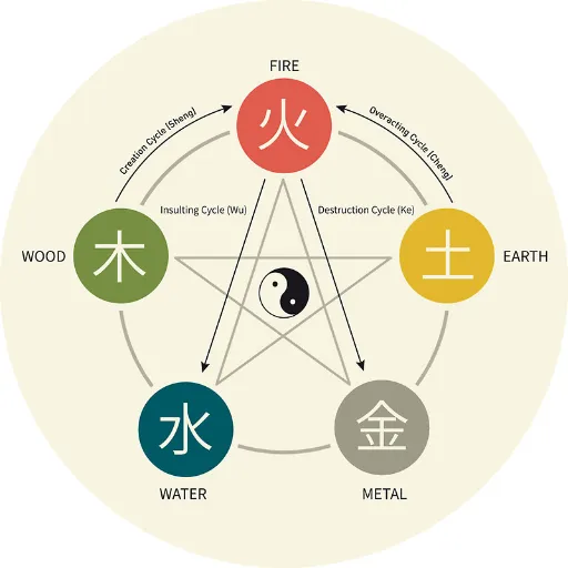 The Cycle of Birth and Destruction: How Elements Interact