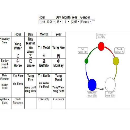 Understanding the Bazi Chart