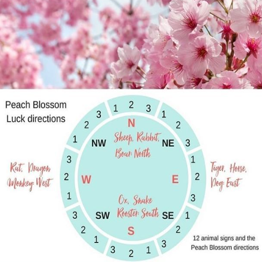 Understanding Peach Blossom Luck in Feng Shui