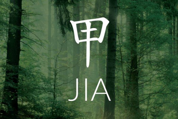 Introduction to Jia Wood (Yang Wood) Personality