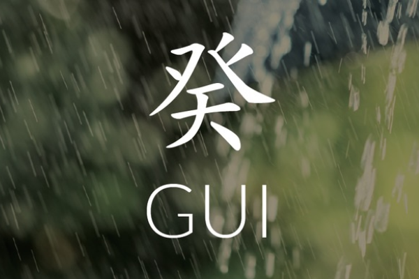 Introduction to Yin Water (Gui) Personality (1)