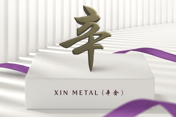 Introduction to the Xin Metal Personality