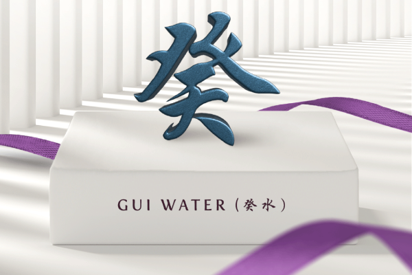 Top Business and Leadership Roles for Water Day Masters