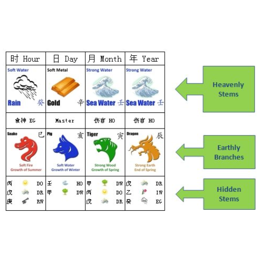 The Structure of the Ba Zi Chart