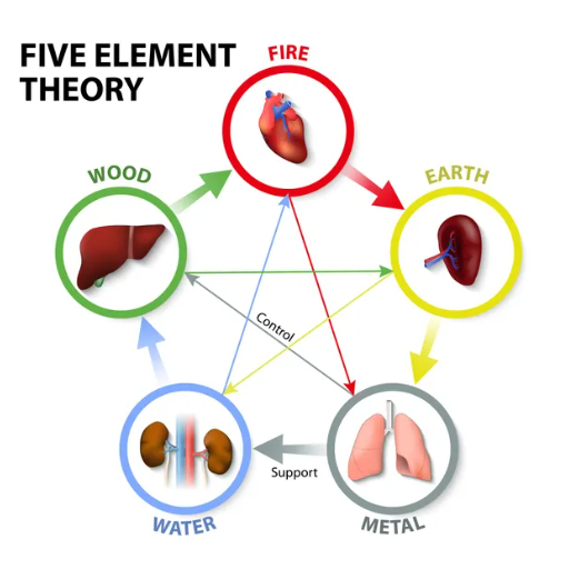 Mapping Vital Organs to the Five Elements