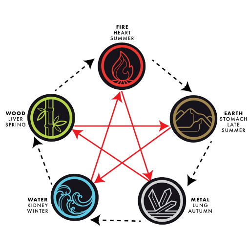 Holistic Wellness Through Element Theory