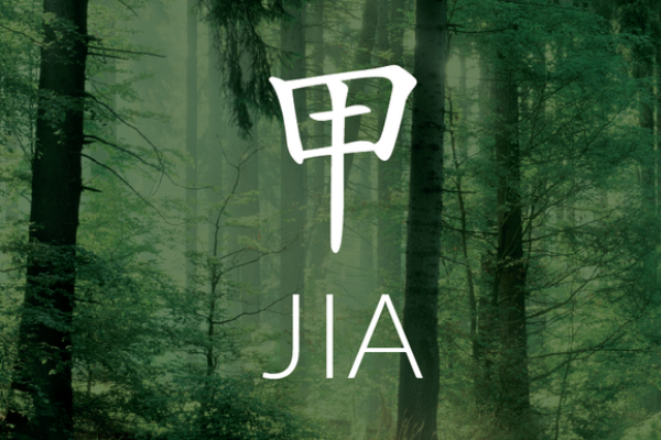 Introduction to Jia Wood (Yang Wood)_ Characteristics and Symbolism