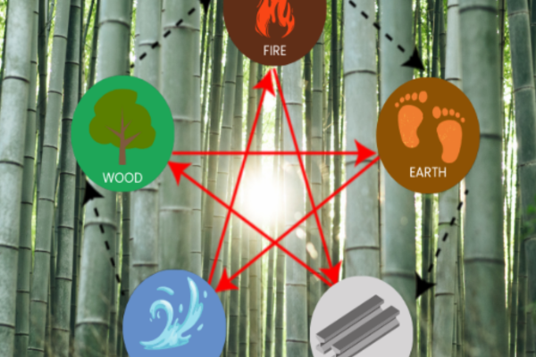 Understanding Wood Element Deficiency