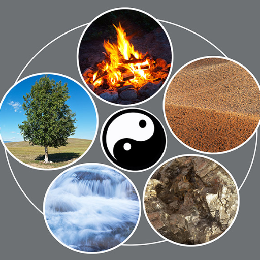 Strong vs. Weak Yang Fire: Why Context Changes Everything