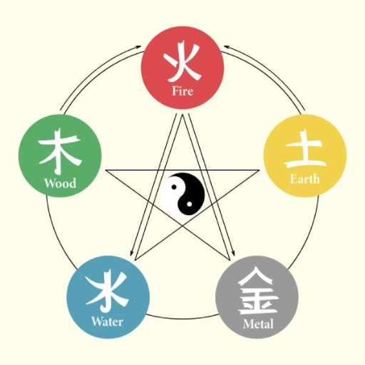 Yang Wood vs. Yin Wood: The Critical Distinction
