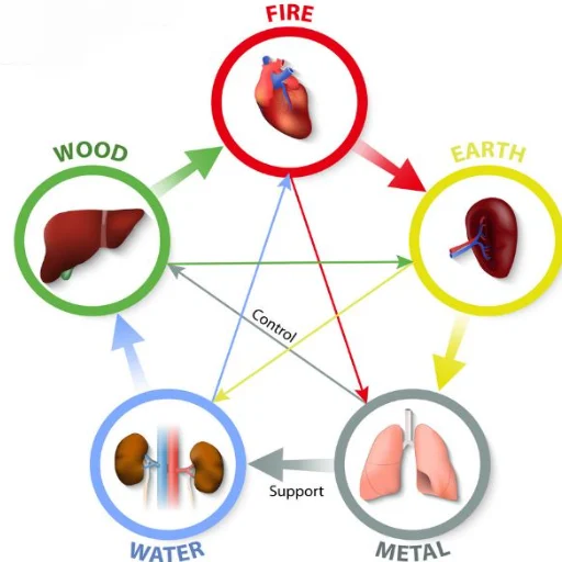 Timing Matters: When Element Health Patterns Activate