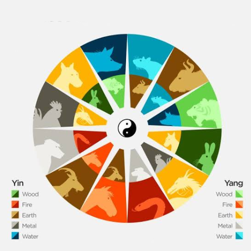 Chinese Zodiac Elements Compatibility: A Modern BaZi Guide