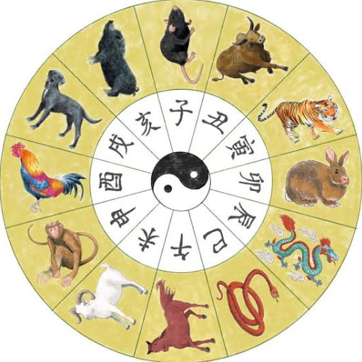 Chinese Zodiac Elements vs BaZi: Key Differences