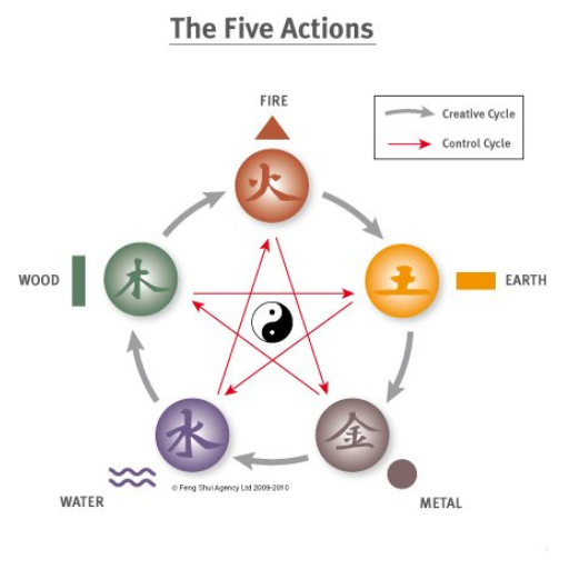 What Is the Water Element in the Chinese Zodiac?